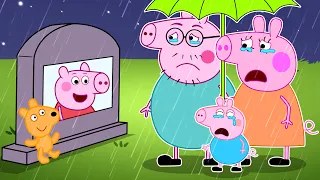 Sad Story Of Peppa Pig : No Way...! Please Wake Up Peppa ? | Peppa Pig Funny Animation