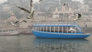 FULL GANGA AARTI VARANASI | BANARAS GHAT AARTI | Holy River Ganges :