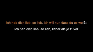 Herbert Grönemeyer - Ich hab dich lieb (Live) [Karaoke]