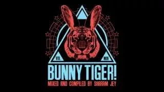 Illusionize & Thee Cool Cats - Open Down [Bunny Tiger Selection Vol. 6]