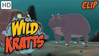 Wild Kratts - How to Live The Adventurous Life (1 HOUR!)