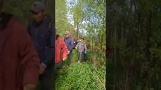 2021 . через лес пересекали границу . Беларусь в России.