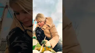 Побелила камни на клумбе