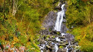 Абхазия, Молочный водопад на озеое Рица