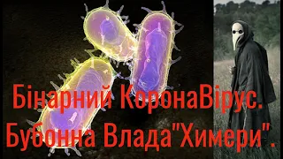 WIN 20200206 13 38 Аз ПА РИк 8 0759 Ілюзія #308 Бінарний КоронаВірус. Бубонна Влада "Хімери".