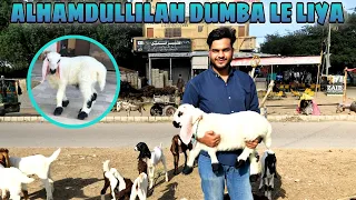 ALHAMDULLILAH DUMBA LE LIYA | SIDDIQUI SAHAB VLOGS