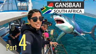 Diving with Giant Sharks in South Africa | Gansbaai Shark Cage Diving | South Africa Part-4