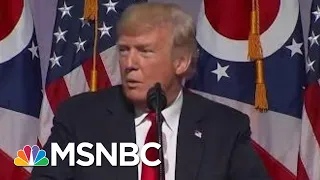 Trump Biographer: Trump Jr, Eric Trump Should Be 100% Worried | The Beat With Ari Melber | MSNBC