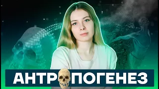 Антропогенез | Биология ЕГЭ 10 класс | Умскул