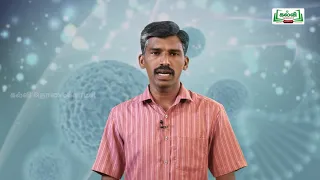 NEET | ZOOLOGY | விலங்கியல் | மனித நலனில் நுண்ணுயிரிகள் | Kalvi TV