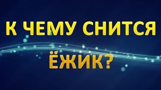 ТОЛКОВАНИЕ СНОВИДЕНИЙ - Ёжик