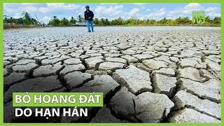 Nguy cơ bỏ hoang đất do hạn hán | VTC16