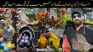 itwar bazar islamabad birds | birds prices in islamabad | Fancy hens | Turkey birds | Fancy Rabbits