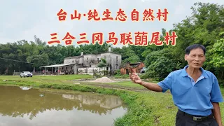 台山百曉：今日來到台山市三合鎮馬山蓢村，這是一條隱居密林中的小山村，彷彿來到了陶淵明筆下的世外桃源，茂林修竹，崇山峻嶺，人與動物和諧共處！#toisan #台山 #taishanese #旅行