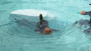 Lucas Swimming Test 6-11-08