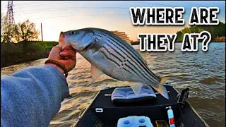 HOW MY 2024 RIVER STRIPER FISHING HAS BEEN