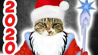 🐱 Поздравляю всех с Новым 2020 годом 🎄 Pet Cat