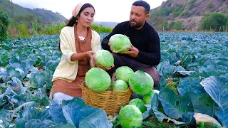 Harvesting 110 LB Cabbage and  Cooking Cabbage roll, Pickled Cabbage for Winter