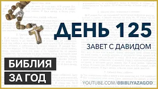 День 125: Завет с Давидом – «Библия за год» с о.Майком Шмитцем