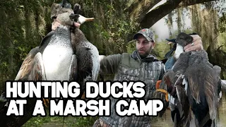 Hunting DUCKS at a CRAZY CAMP in the marsh