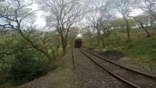 Tal Y Llyn Train coming into Dolgoch station