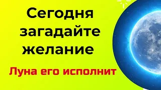 Сегодня в ночь загадайте своё желание. Луна быстро его исполнит.