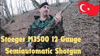 12კალ Stoeger M3500 12 Gauge Semiautomatic Shotgun თურქული ნახევრადავტომატური ოფი  ,,სტოგერ მ3500''