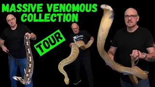 Snake Room Tour | MONSTER Rattlesnakes, Bushmasters, Gaboon Vipers, King Cobra