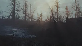 Fallout 4 - Far Harbor Rain Ambiance (thunder, crickets, rain)