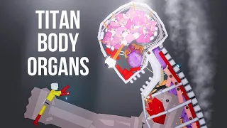SAITAMA vs Titan Body Organs - People Playground 1.24