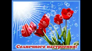 Солнечного настроения!!!