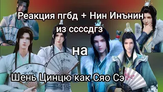 реакция пгбд на Шень Цинцю в юности (Au) +Нин Инин из ссссдгз