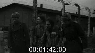 Освобождение узников Освенцима  1945