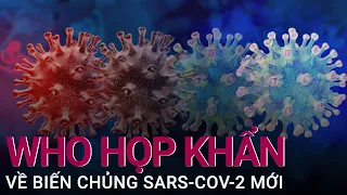 WHO họp khẩn về biến chủng SARS-CoV-2 mới, nhiều đột biến chưa từng có | VTC Now