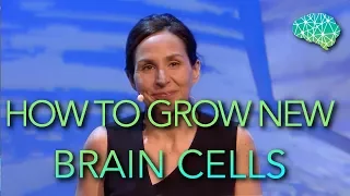 It's possible to Grow New Brain Cells. Here's how to do it | Sandrine Thuret