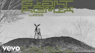 Calvin Harris, Rag'n'Bone Man - Giant (Weiss Remix) [Audio]