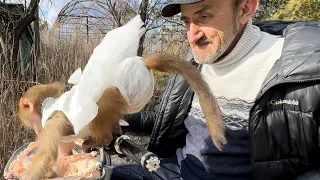 Люська-невеста везет ВЫКУП своей семье от семьи гамадрила Лешика!