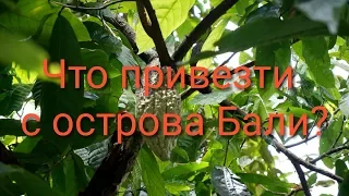 Что привезти с острова Бали?