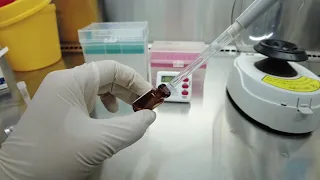 PCR test kits -Instruction of use-BioTeke