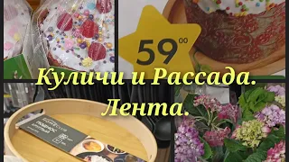 А в Ленте куличи и рассада!!!!!