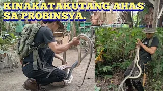 INAKALANG BANAKON HULE KAY COBRAPRINCE .