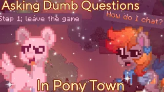 Asking Stupid Questions In Pony Town | Pony Town Trolling