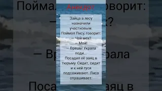 😂Анекдот зайца назначили участковым #shorts #приколы #шутки