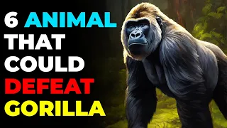 6 Unbelievable Animal That Could Defeat Gorilla 😱