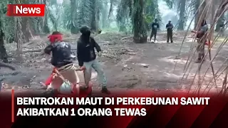 Bentrokan Maut di Kebun Sawit Seruyan Kalteng, 1 Orang Tewas