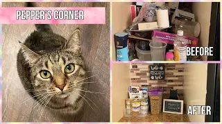 Hoarders ❤️ How to ADHD | Pepper’s Corner Cat Food Organization