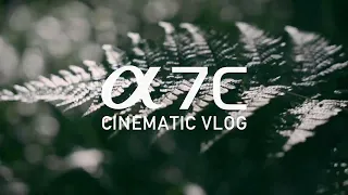 SIGMA 28-70mm F2.8 Test footage / SONY A7C cinematic vlog 81 / おとめ山公園（新宿区下落合）