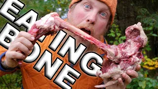 Eating BONE MARROW for Breakfast, Day 7 Of 8 /  Wilderness Living Challenge  S04E08  Survival