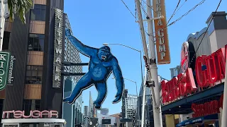 Toy Hunting in Hollywood CA (daily toy hunt)
