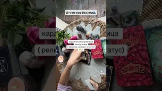 КТО ОТ ВАС БЕЗ УМА🤴💍🐺|Таро